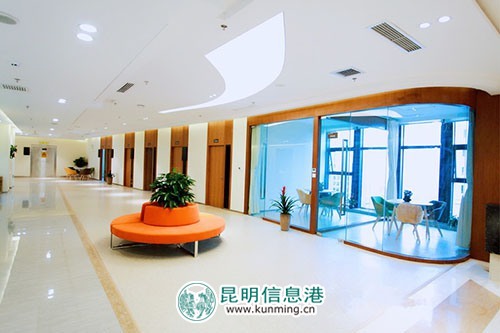 菲悦健康管理中心为云南著名书法家、画家提供免费公益体检活动