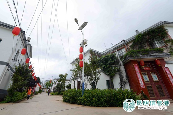 最后一座滇池渔村码头的变迁路