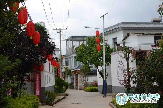 最后一座滇池渔村码头的变迁路