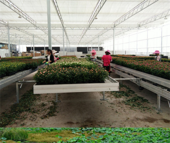 昆工艺传学院到晋宁“三下乡” 用镜头记录当地民风民情 昆工艺传学院到晋宁“三下乡” 用镜头记录当地民风民情