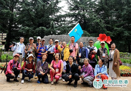 第三届昙华寺木瓜节启幕 500株木瓜树观赏采摘两相宜