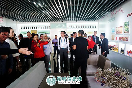 中国-东盟青年企业家到昆明开展经贸考察