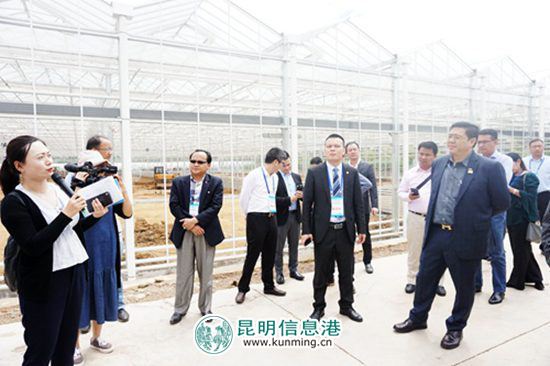 中国-东盟青年企业家到昆明开展经贸考察