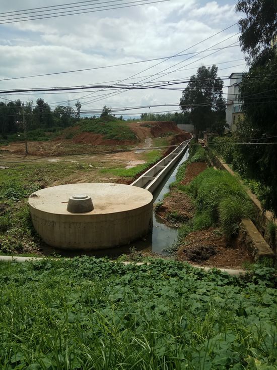 呈贡区：居民共享“创文”成果 自觉维护辖区环境卫生