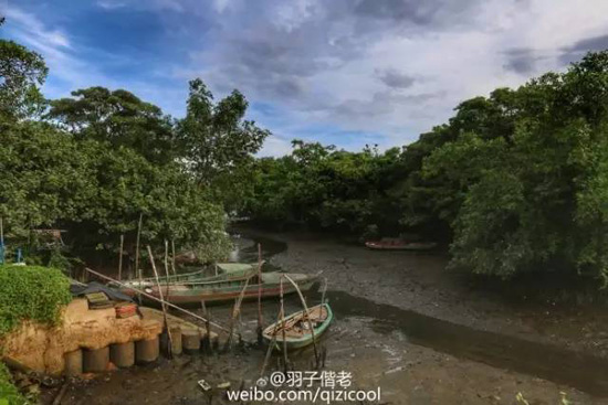 海南的这片海域才叫真正的纯净原生态