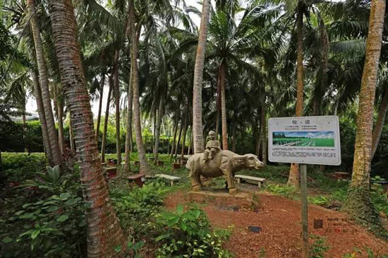 海南的这片海域才叫真正的纯净原生态