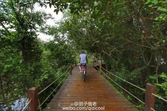 海南的这片海域才叫真正的纯净原生态