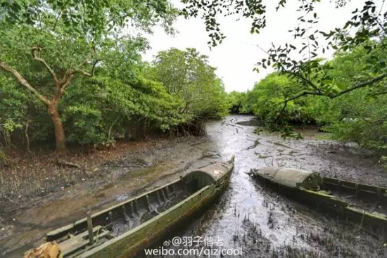 海南的这片海域才叫真正的纯净原生态