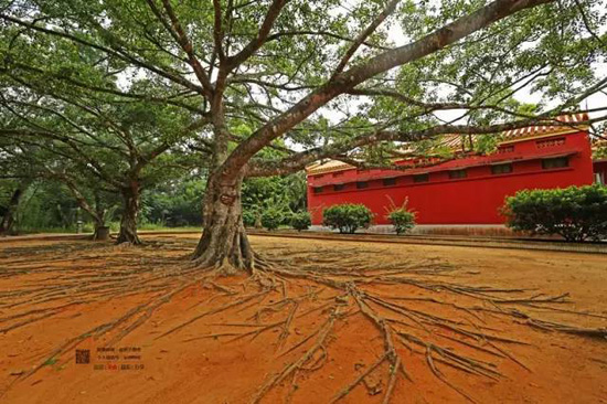 海南的这片海域才叫真正的纯净原生态