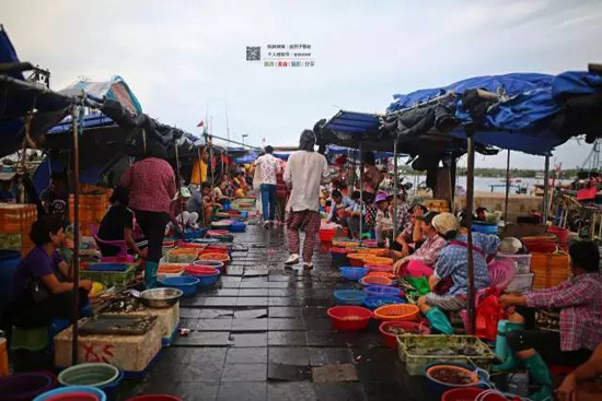 海南的这片海域才叫真正的纯净原生态