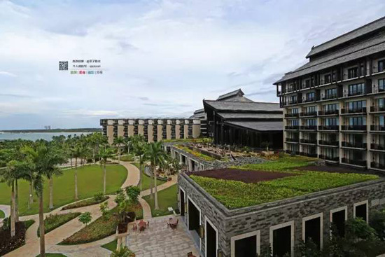 海南的这片海域才叫真正的纯净原生态