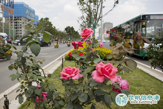 广福路综合提升工程圆满完工