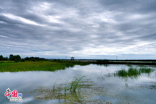宁夏黄沙古渡景区以生态保护构筑旅游发展基石