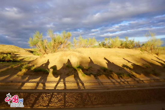 宁夏黄沙古渡景区以生态保护构筑旅游发展基石