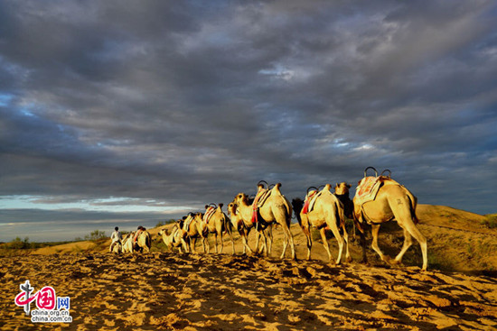 宁夏黄沙古渡景区以生态保护构筑旅游发展基石