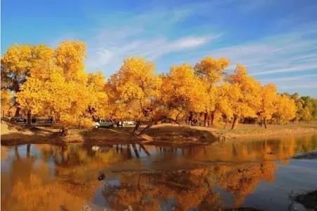 暑假一起去旅行 10条中国最佳自驾游线路