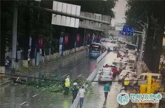 青年路双向交通恢复通行 周边道路车流量大 青年路双向交通恢复通行 周边道路车流量大