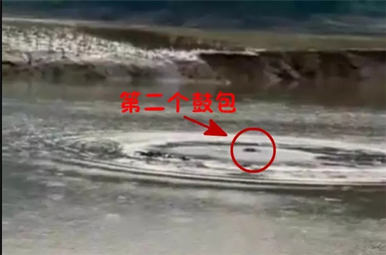 开闸泄洪后罗平一水塘现巨型'水怪' 目击者视频惊动中科院专家