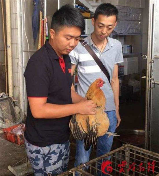 云南2人上榜2017年全国脱贫攻坚奖候选人