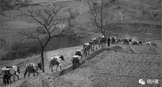 马帮火锅 不一样的马帮味道