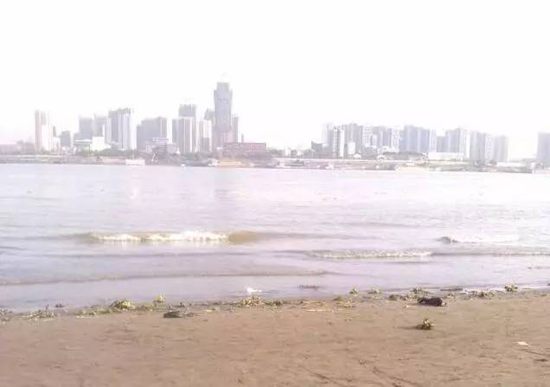 木卫四专栏：一个异乡人打车过江记