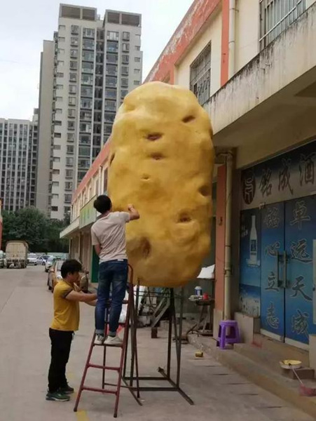 东川美食街搞大事 冒出个4米高惊天大洋芋 东川美食街搞大事 冒出个4米高惊天大洋芋