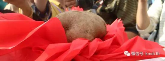 2017铜都开花洋芋节开幕 一个洋芋拍出5000元 2017铜都开花洋芋节开幕 一个洋芋拍出5000元