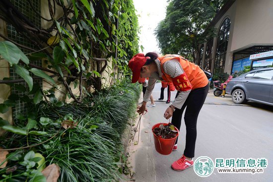 “全国最美志愿服务社区”的“服务经” “全国最美志愿服务社区”的“服务经”