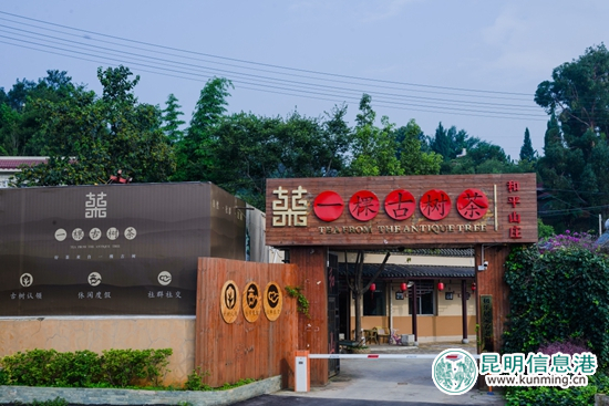“一棵古树茶”安宁和平山庄体验中心 “一棵古树茶”安宁和平山庄体验中心