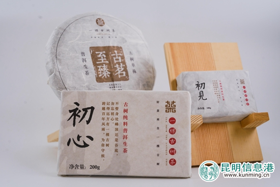 认养古茶树,臻选精美礼品 认养古茶树,臻选精美礼品