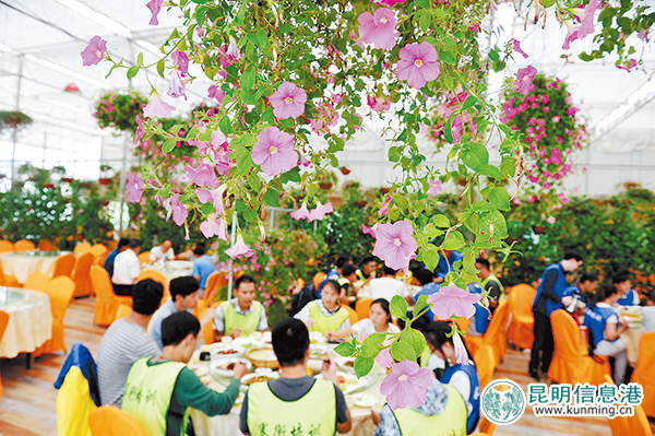 西山：“旅游+”推动全域旅游落地开花