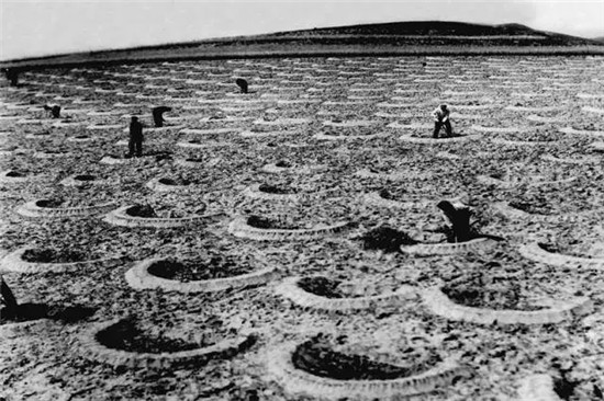 这座塞上小城 为什么得到总书记点赞