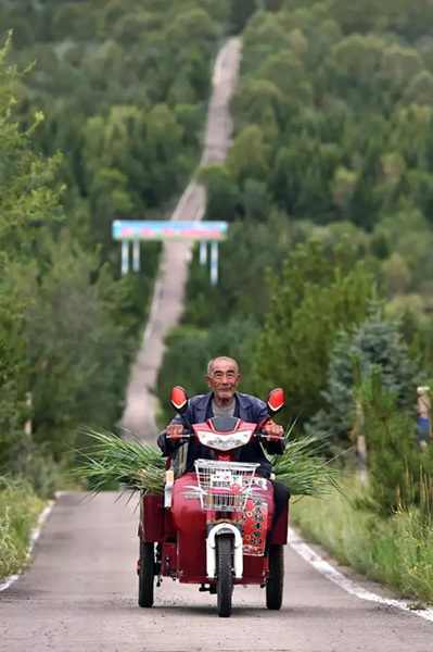 这座塞上小城 为什么得到总书记点赞