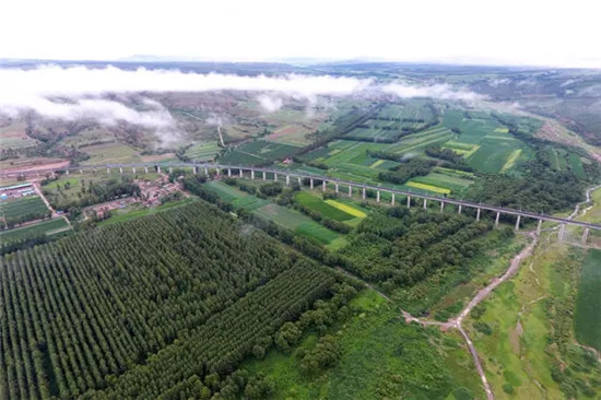 这座塞上小城 为什么得到总书记点赞