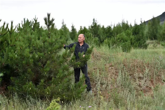 这座塞上小城 为什么得到总书记点赞