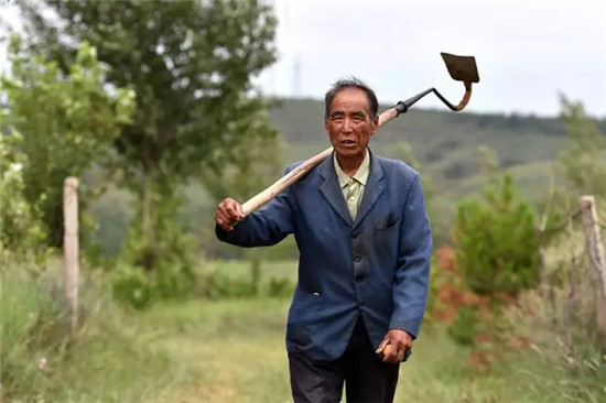 这座塞上小城 为什么得到总书记点赞