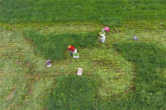 这座塞上小城 为什么得到总书记点赞