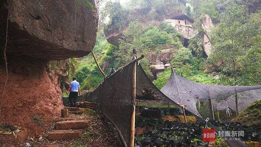四川10尊文物佛像被“断头” 四川10尊文物佛像被“断头”