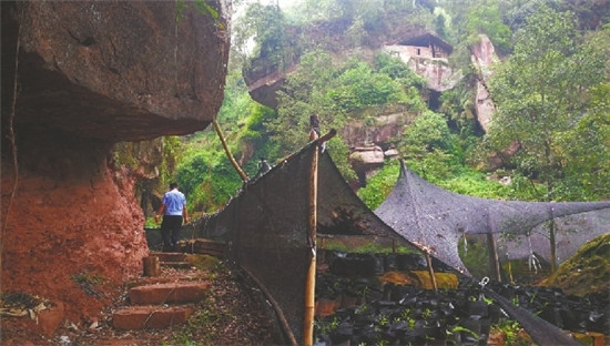 夹江明代摩崖造像10颗佛头被盗 警方已介入 夹江明代摩崖造像10颗佛头被盗 警方已介入