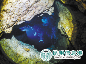 “水中大熊猫”桃花水母现身抚仙湖 证明水质良好 “水中大熊猫”桃花水母现身抚仙湖 证明水质良好