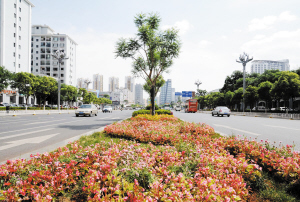 昆明借园林绿化打造四个“客厅”