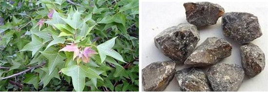 怪事有因：海昏侯墓中的千年奇香从何而来