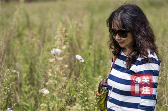 9月初赏桂正当时 昆明9月赏花攻略拿走不谢