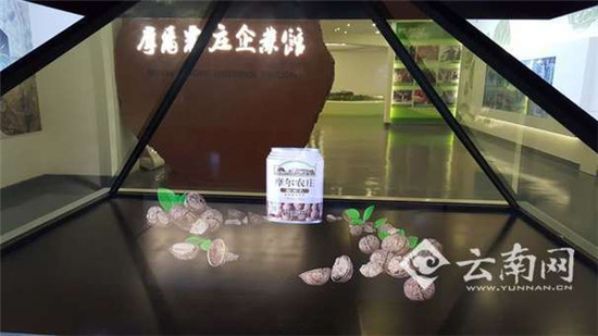 摩尔农庄科技创新延伸产业链 小核桃做成大产业