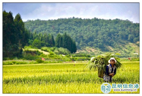 9月23日至10月8日寻甸举办“摸鱼节”暨“民族美食节” 9月23日至10月8日寻甸举办“摸鱼节”暨“民族美食节”