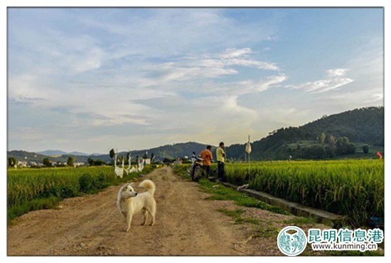 9月23日至10月8日寻甸举办“摸鱼节”暨“民族美食节” 9月23日至10月8日寻甸举办“摸鱼节”暨“民族美食节”