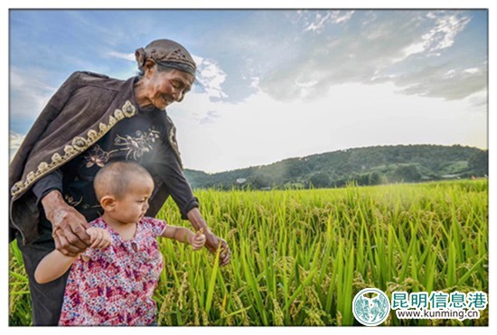 9月23日至10月8日寻甸举办“摸鱼节”暨“民族美食节” 9月23日至10月8日寻甸举办“摸鱼节”暨“民族美食节”