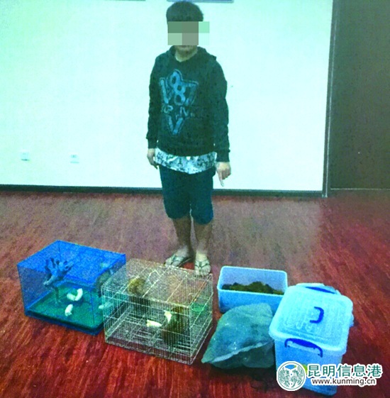 150元买只蜂猴转手卖1100元 两小伙涉嫌非法运输、出售珍贵濒危野生动物