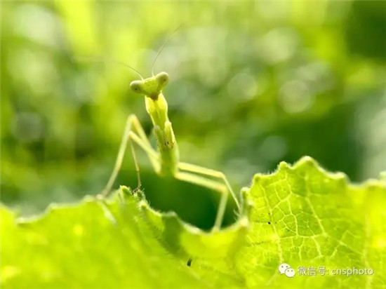 “改革在身边”手机摄影大赛第二期周奖揭晓