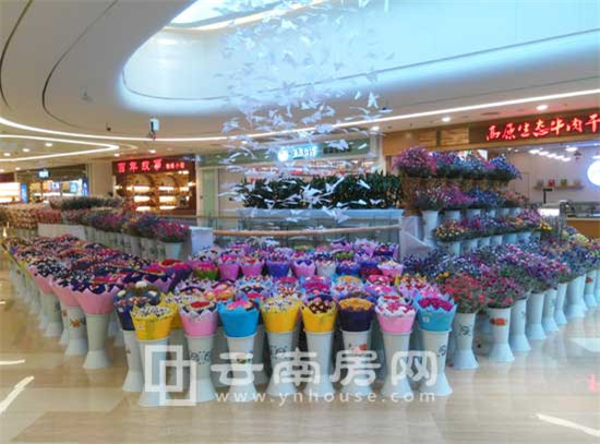 旅游购物难做了 经营19年的七彩云南更名转型